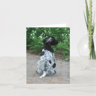 German Shorthair Pointer Puppy Card