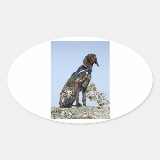 german shorthair pointer sitting.png oval sticker (Front)