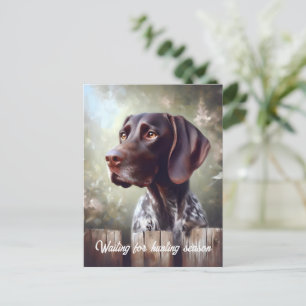 German Shorthair Pointer Waiting Postcard