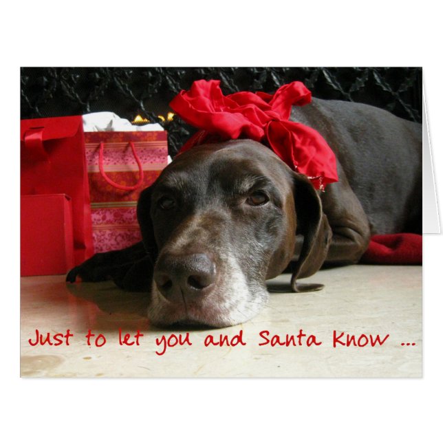 German Shorthaired Merry Christmas  New Address (Front Horizontal)