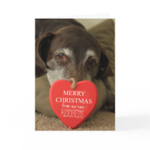 German Shorthaired Merry Christmas New Address