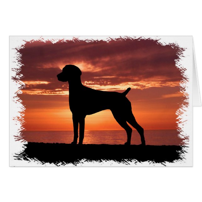 German Shorthaired Pointer (Front Horizontal)