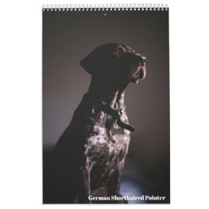 German Shorthaired Pointer 2024 Calendar GSP Dog