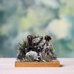 German Shorthaired Pointer Acrylic Sign