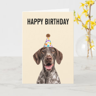 German Shorthaired Pointer Birthday Card