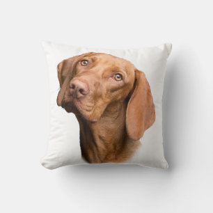 German Shorthaired Pointer Brown Dog Throw Pillow