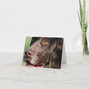 German Shorthaired Pointer Card