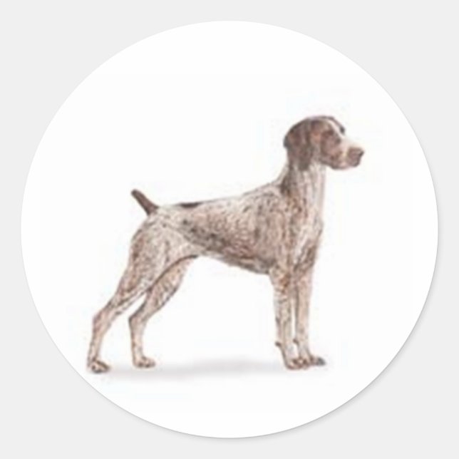 German Shorthaired Pointer Classic Round Sticker (Front)