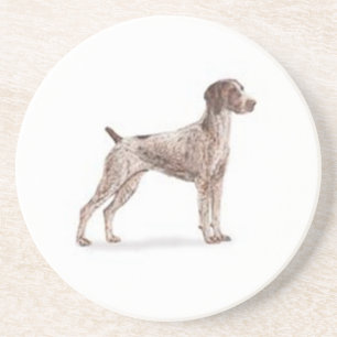 German Shorthaired Pointer Coaster