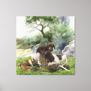 German Shorthaired Pointer cute puppies Canvas Print