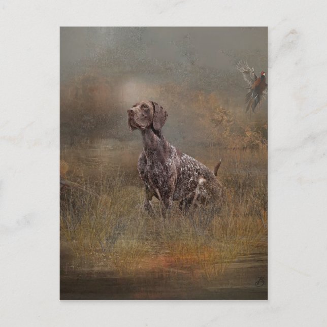 German Shorthaired Pointer ,Deutsch Kurzhaar Tapes Postcard (Front)