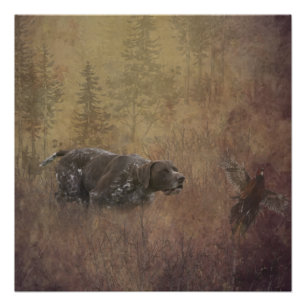 German Shorthaired Pointer ,Deutsch Kurzhaar Tapes Poster