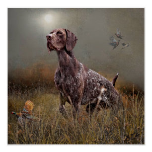 German Shorthaired Pointer ,Deutsch Kurzhaar Tapes Poster