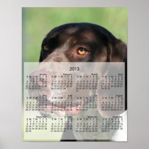 German Shorthaired pointer dog 2013 calendar print