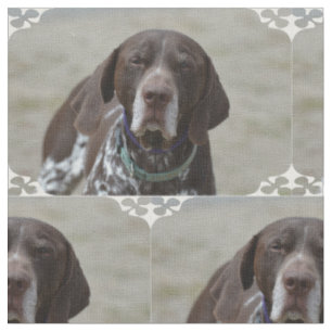 German Shorthaired Pointer Dog Fabric