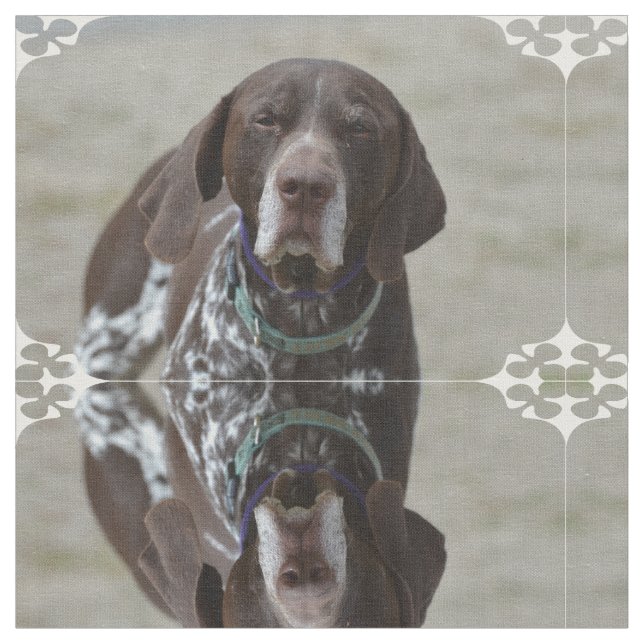 German Shorthaired Pointer Dog Fabric (Close Up)