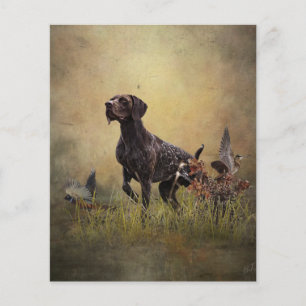 German Shorthaired Pointer Flyer