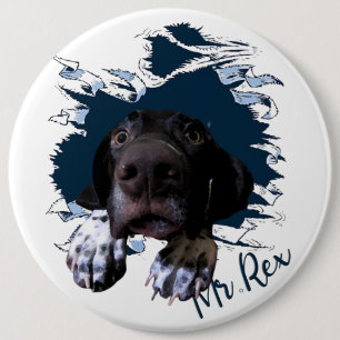 German Shorthaired Pointer,funny face 6 Inch Round Button