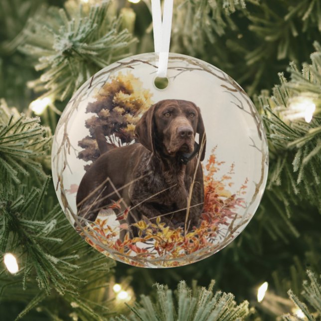 German shorthaired pointer glass ornament (Insitu)