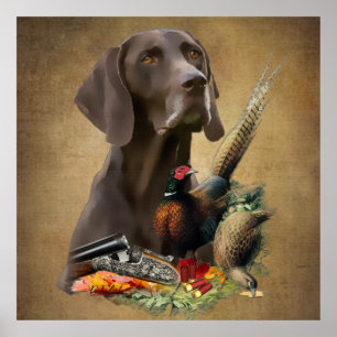 German Shorthaired Pointer GSP   Poster