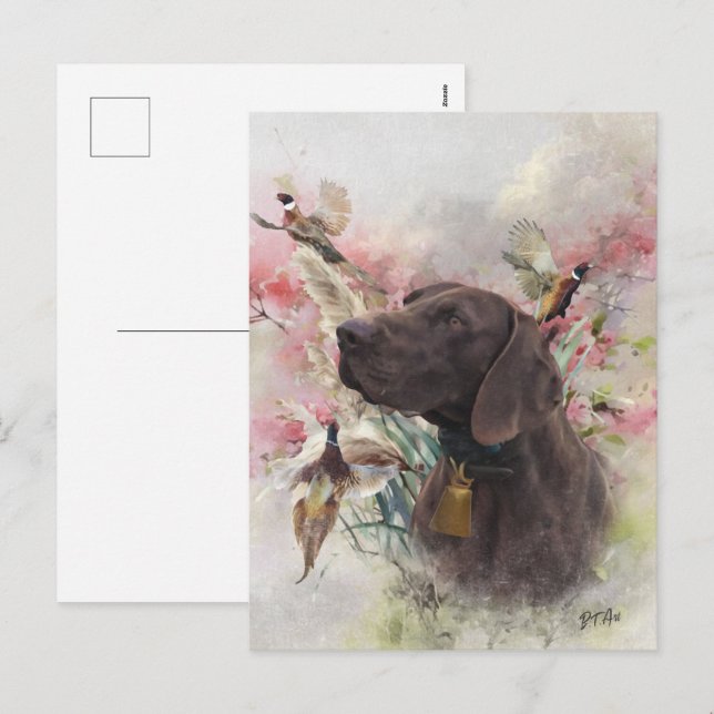 German shorthaired pointer  holiday postcard (Front/Back)
