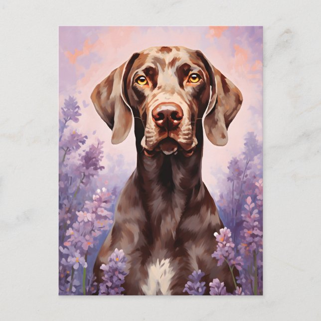 German Shorthaired Pointer in Lavender field Postcard (Front)