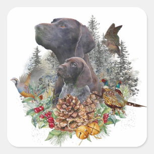 German Shorthaired Pointer in winter   Square Sticker