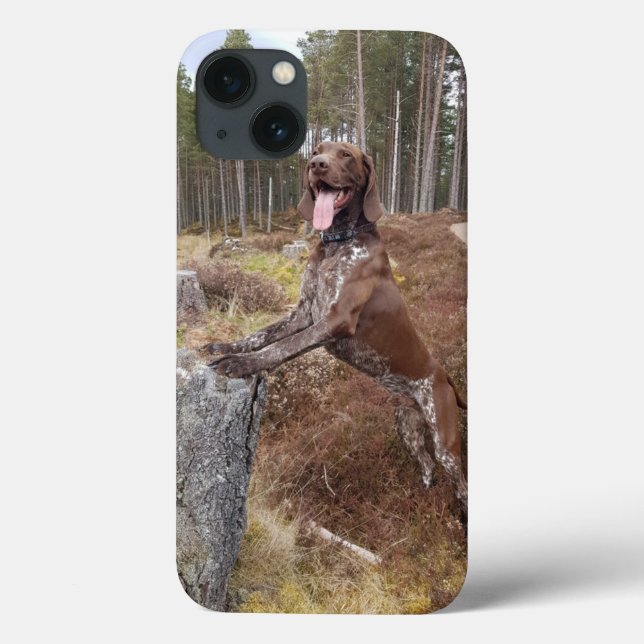 German Shorthaired Pointer iphone case (Back)