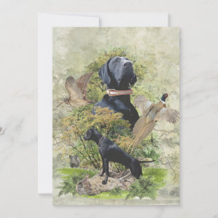 German Shorthaired Pointer,kurzhaar  Invitation