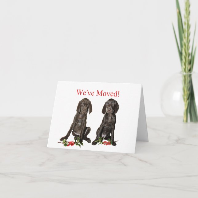 German Shorthaired Pointer new address Holiday Card (Front)