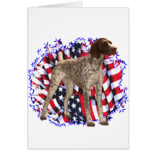 German Shorthaired Pointer Patriot