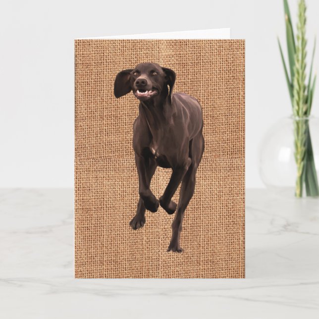 German Shorthaired Pointer Pet-lover Card (Front)