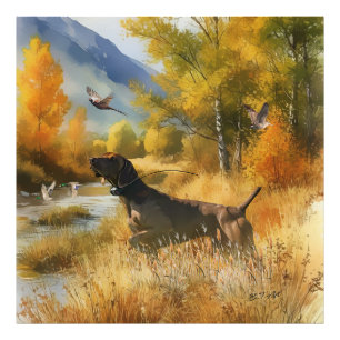 German Shorthaired Pointer Photo Print