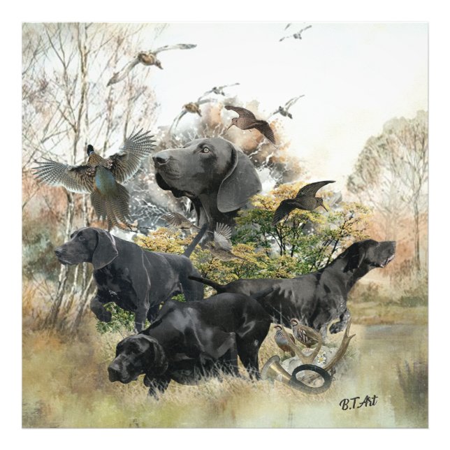 German Shorthaired pointer   Photo Print (Front)