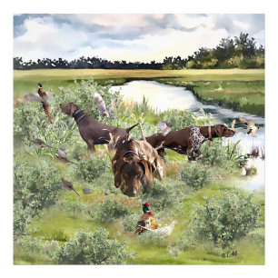 German Shorthaired pointer   Photo Print