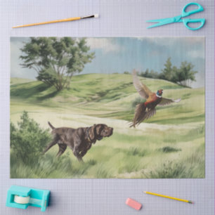 German Shorthaired Pointer Pointing at a Pheasant Tissue Paper