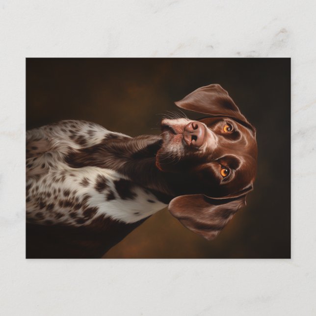 German Shorthaired Pointer Portrait  Postcard (Front)