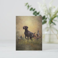 German Shorthaired Pointer   