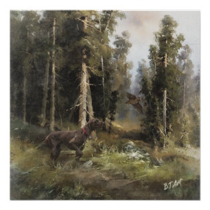 German Shorthaired pointer   Poster