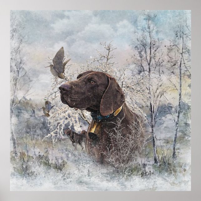 German Shorthaired Pointer Poster (Front)