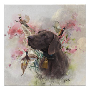 German shorthaired pointer  poster