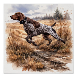  German Shorthaired Pointer  Poster