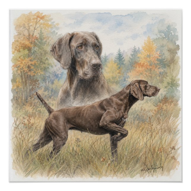 German Shorthaired Pointer  Poster (Front)