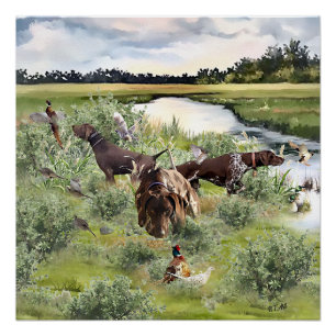 German Shorthaired pointer   Poster