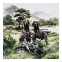 German Shorthaired Pointer 