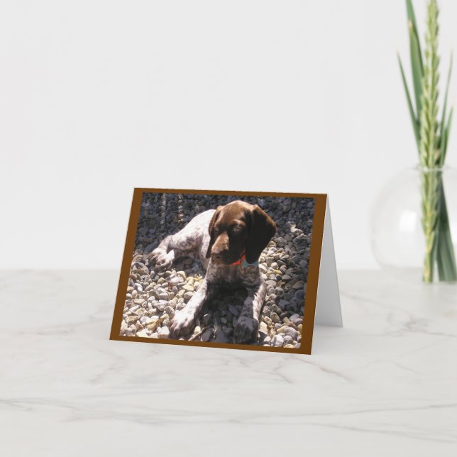 German Shorthaired Pointer Puppy Chillin' Card (Front)