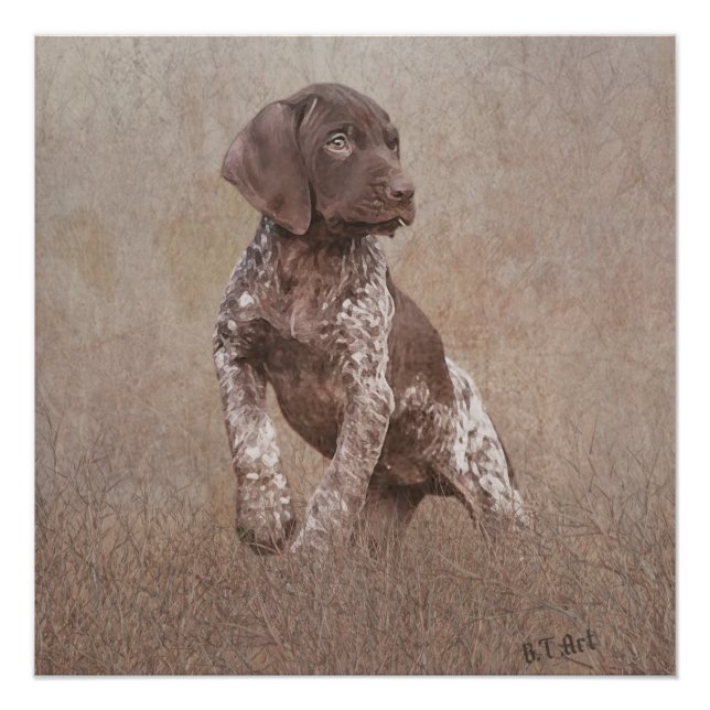 german shorthaired pointer puppy tapestry poster (Front)