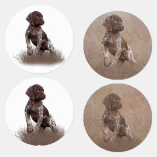 german shorthaired pointer puppy tapestry poster b