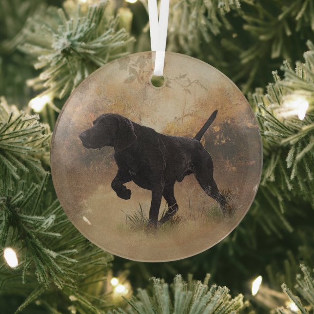 German Shorthaired Pointer ready to hunt Gift Box  Glass Ornament (Insitu)