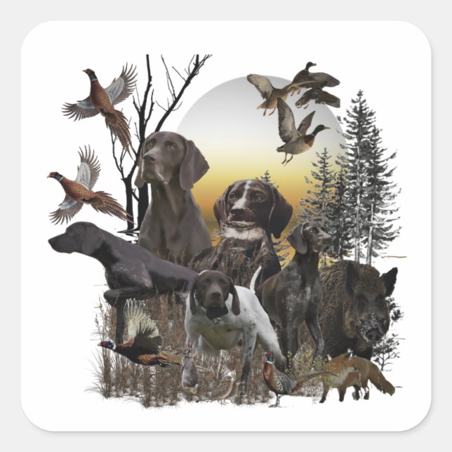 German Shorthaired Pointer   Square Sticker (Front)